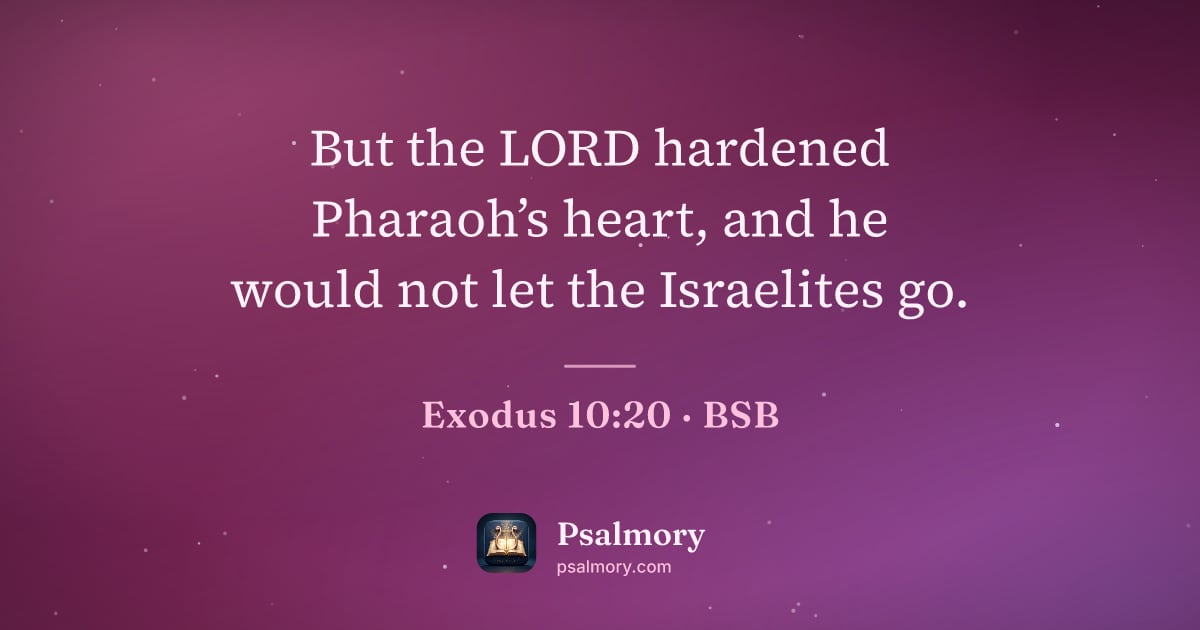 Exodus 10:20 verse artwork: But the LORD hardened Pharaoh’s heart, and he would not let the Israelites go.