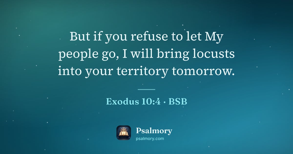 Exodus 10:4 verse artwork: But if you refuse to let My people go, I will bring locusts into your territory tomorrow.