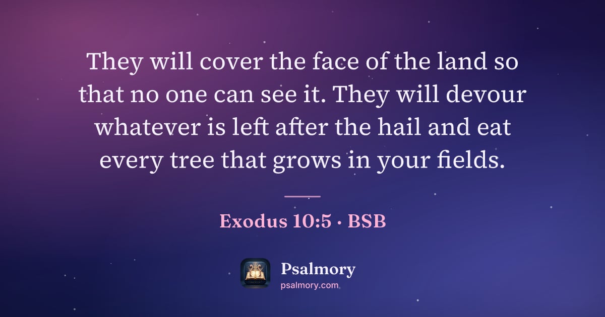 Exodus 10:5 verse artwork: They will cover the face of the land so that no one can see it. They will devour…