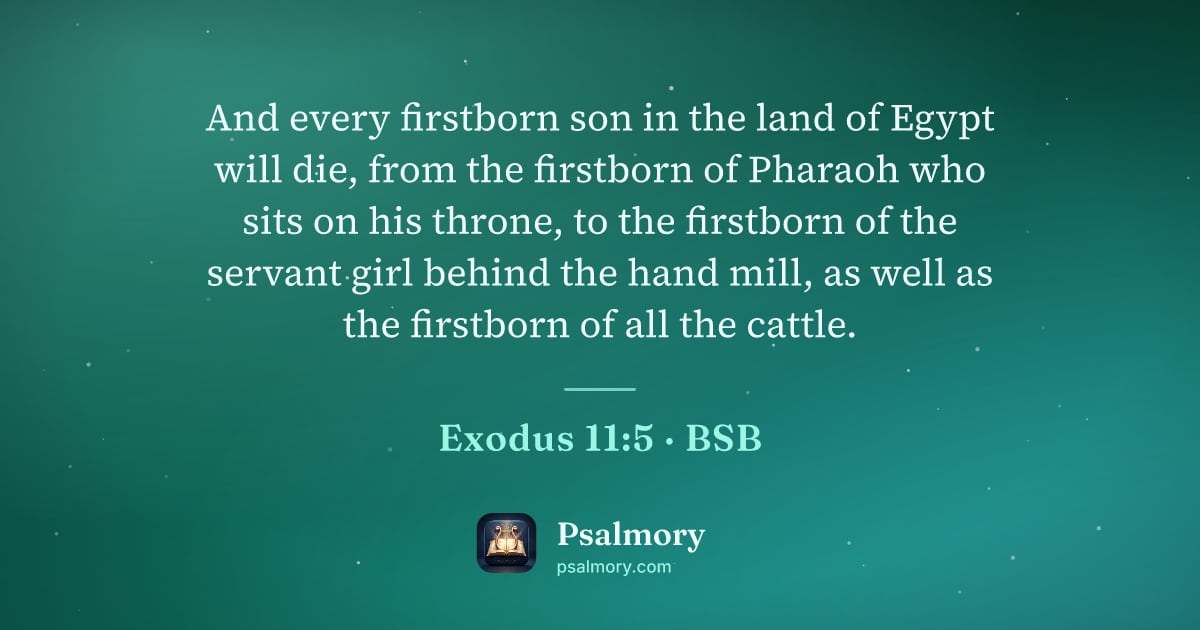 Exodus 11:5 verse artwork: And every firstborn son in the land of Egypt will die, from the firstborn of Pharaoh who…