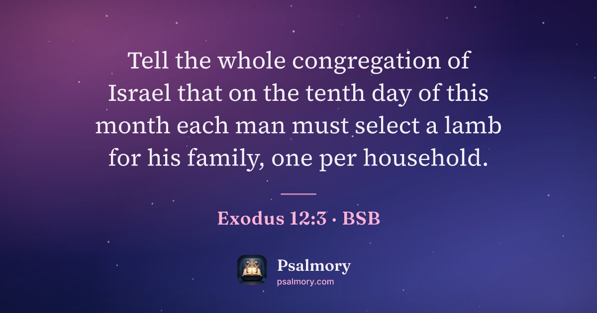 Exodus 12:3 verse artwork: Tell the whole congregation of Israel that on the tenth day of this month each man must…