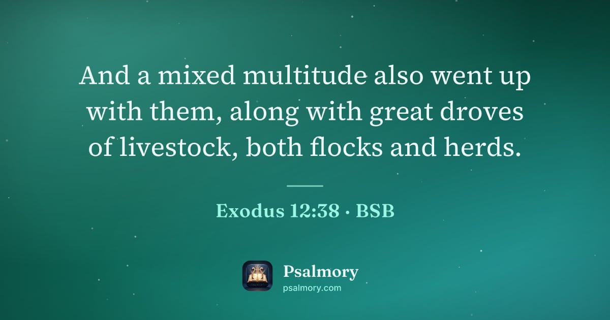 Exodus 12:38 verse artwork: And a mixed multitude also went up with them, along with great droves of livestock, both…