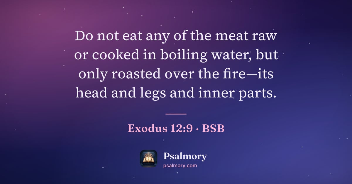 Exodus 12:9 verse artwork: Do not eat any of the meat raw or cooked in boiling water, but only roasted over the…