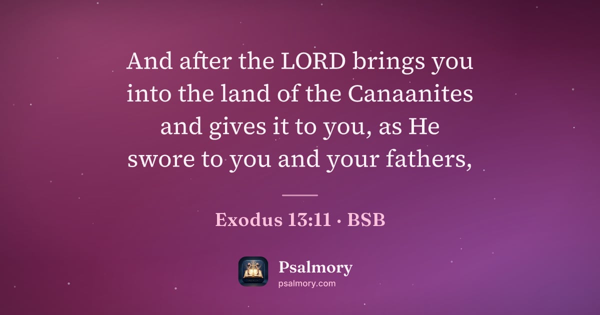 Exodus 13:11 verse artwork: And after the LORD brings you into the land of the Canaanites and gives it to you, as He…