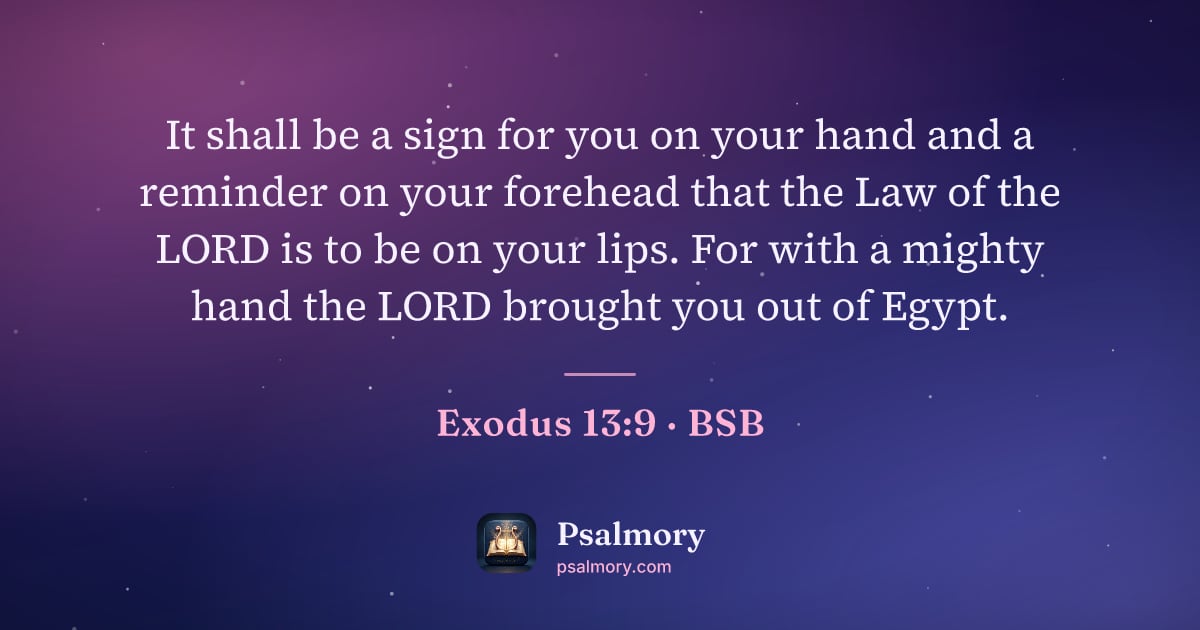 Exodus 13:9 verse artwork: It shall be a sign for you on your hand and a reminder on your forehead that the Law of…