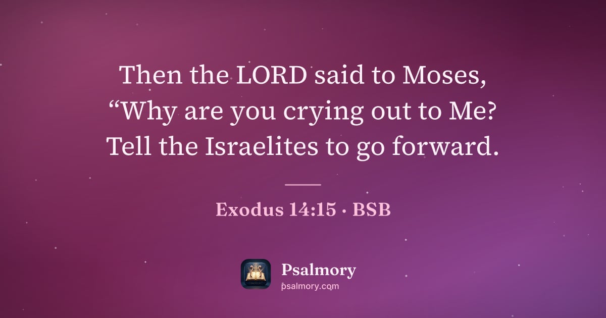 Exodus 14:15 verse artwork: Then the LORD said to Moses, “Why are you crying out to Me? Tell the Israelites to go…
