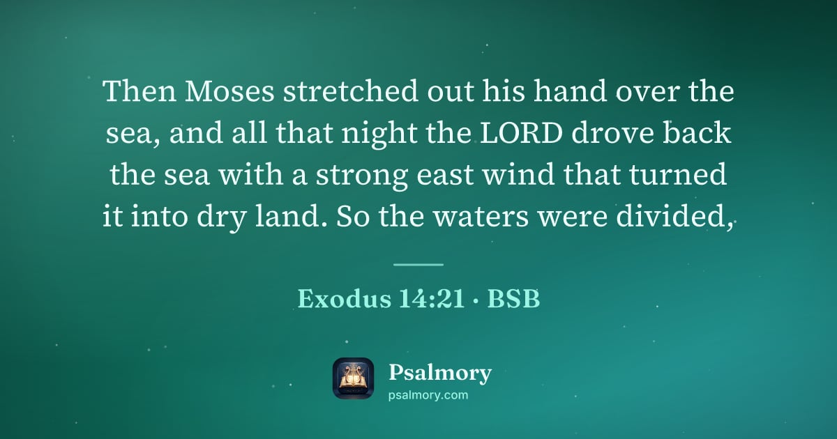 Exodus 14:21 verse artwork: Then Moses stretched out his hand over the sea, and all that night the LORD drove back…