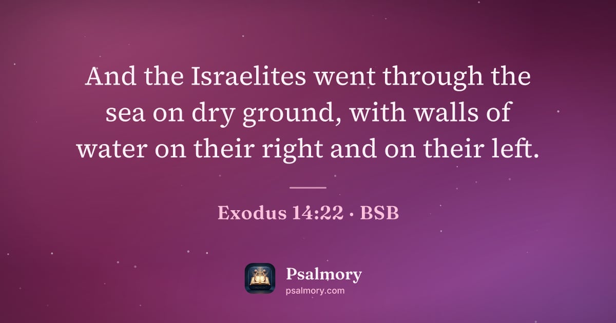 Exodus 14:22 verse artwork: And the Israelites went through the sea on dry ground, with walls of water on their…