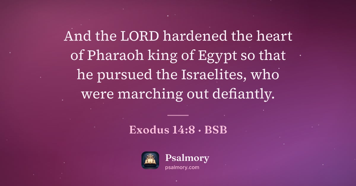 Exodus 14:8 verse artwork: And the LORD hardened the heart of Pharaoh king of Egypt so that he pursued the…