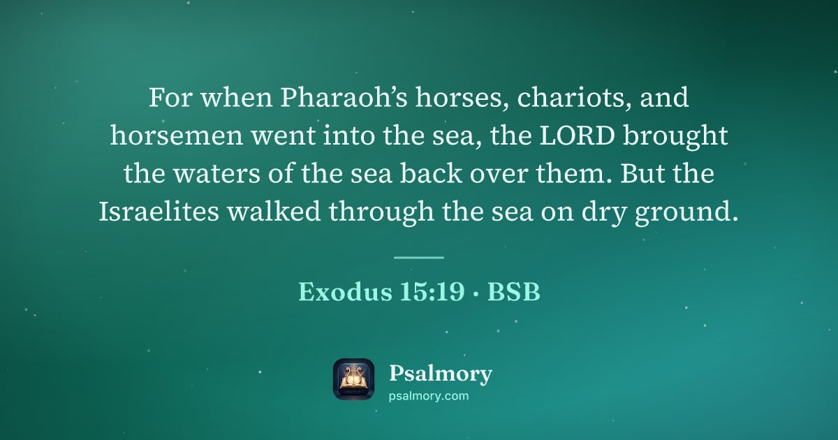 Exodus 15:19 verse artwork: For when Pharaoh’s horses, chariots, and horsemen went into the sea, the LORD brought…