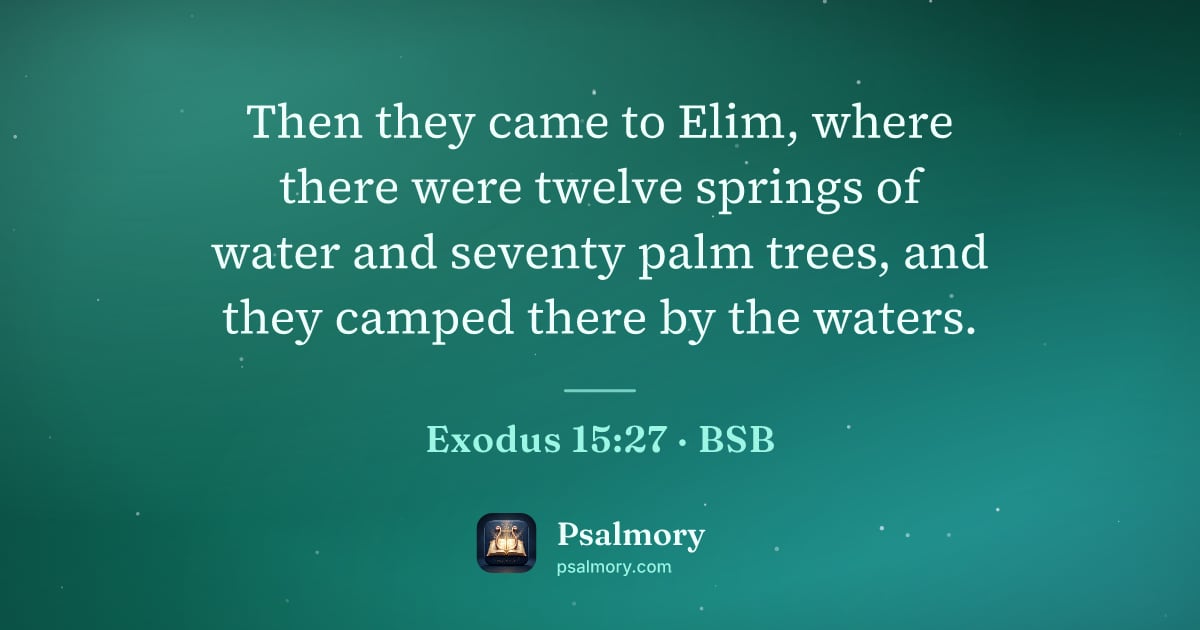 Exodus 15:27 verse artwork: Then they came to Elim, where there were twelve springs of water and seventy palm trees,…