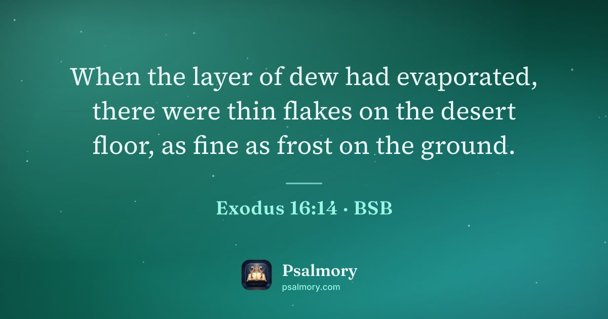 Exodus 16:14 verse artwork: When the layer of dew had evaporated, there were thin flakes on the desert floor, as…