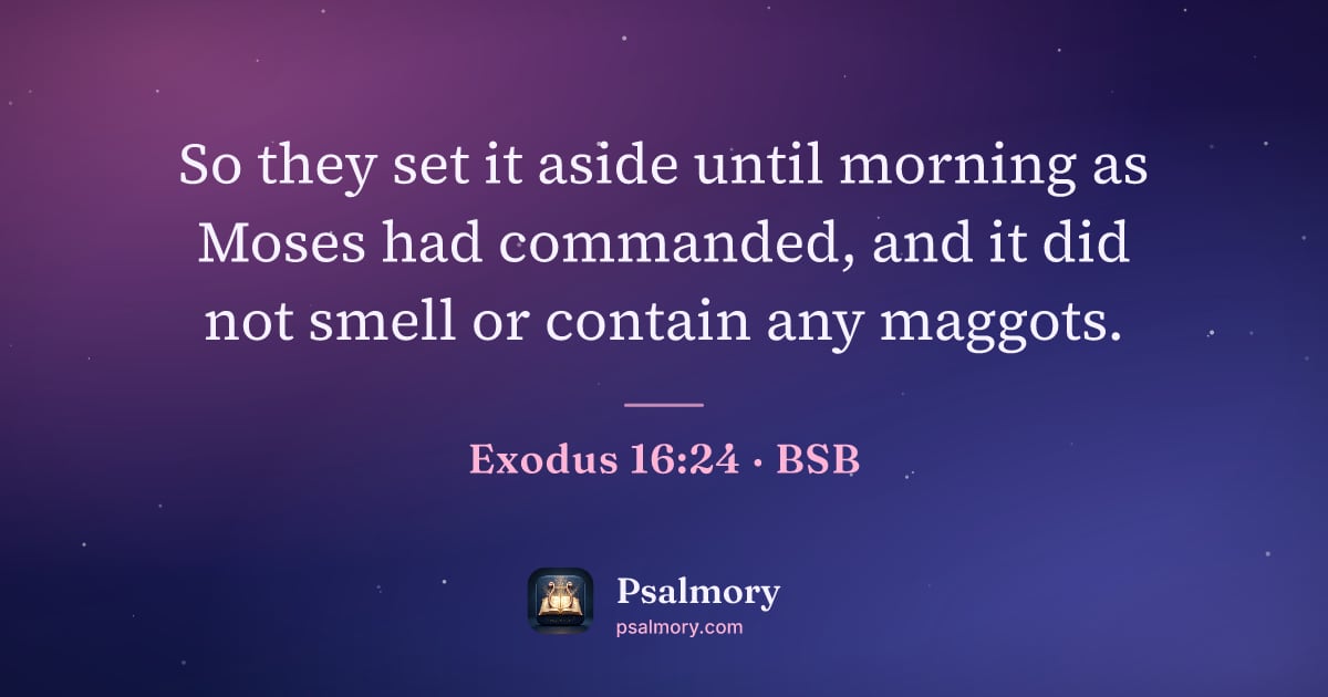 Exodus 16:24 verse artwork: So they set it aside until morning as Moses had commanded, and it did not smell or…