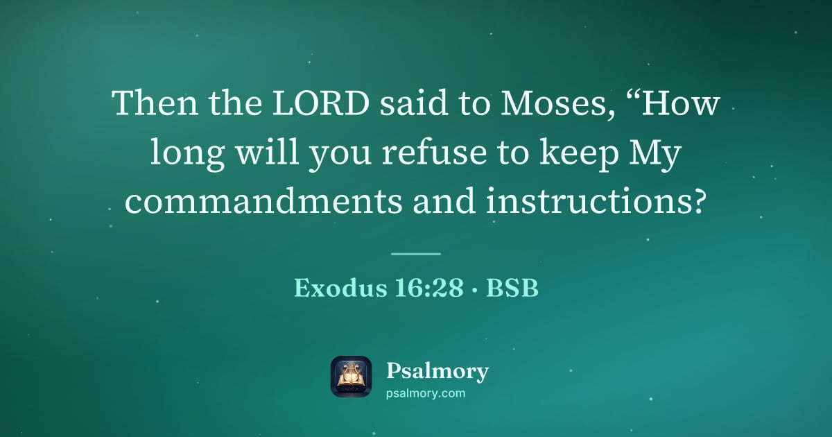 Exodus 16:28 verse artwork: Then the LORD said to Moses, “How long will you refuse to keep My commandments and…