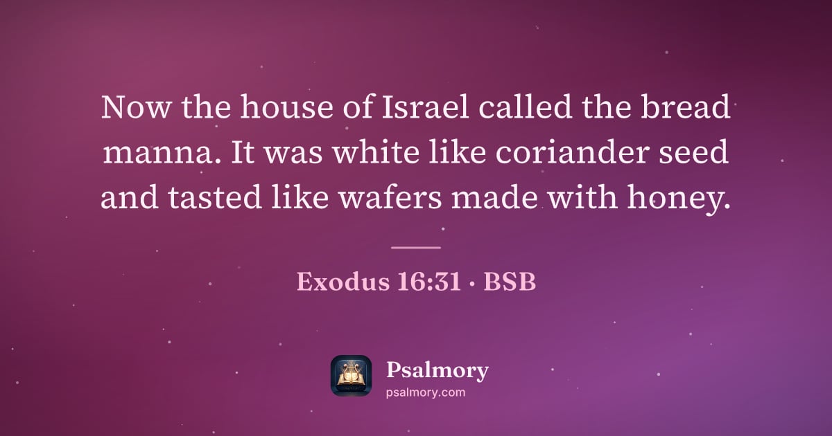 Exodus 16:31 verse artwork: Now the house of Israel called the bread manna. It was white like coriander seed and…