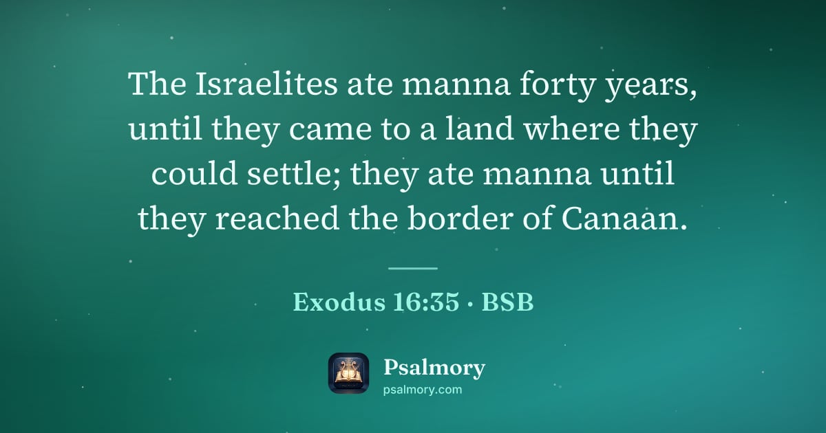 Exodus 16:35 verse artwork: The Israelites ate manna forty years, until they came to a land where they could settle;…