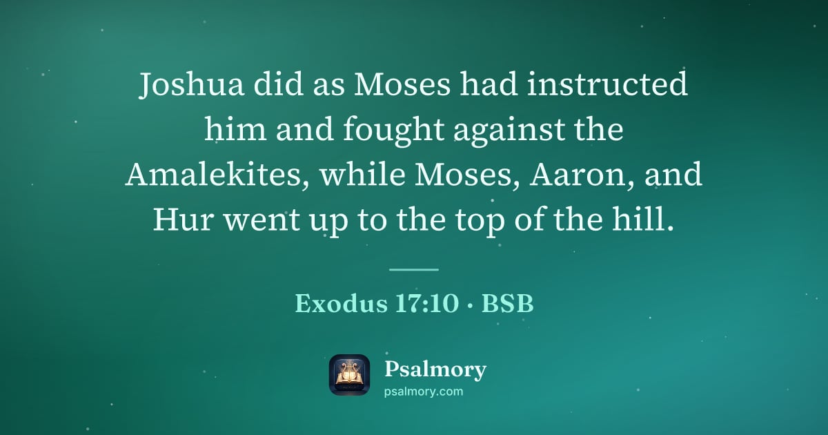 Exodus 17:10 verse artwork: Joshua did as Moses had instructed him and fought against the Amalekites, while Moses,…
