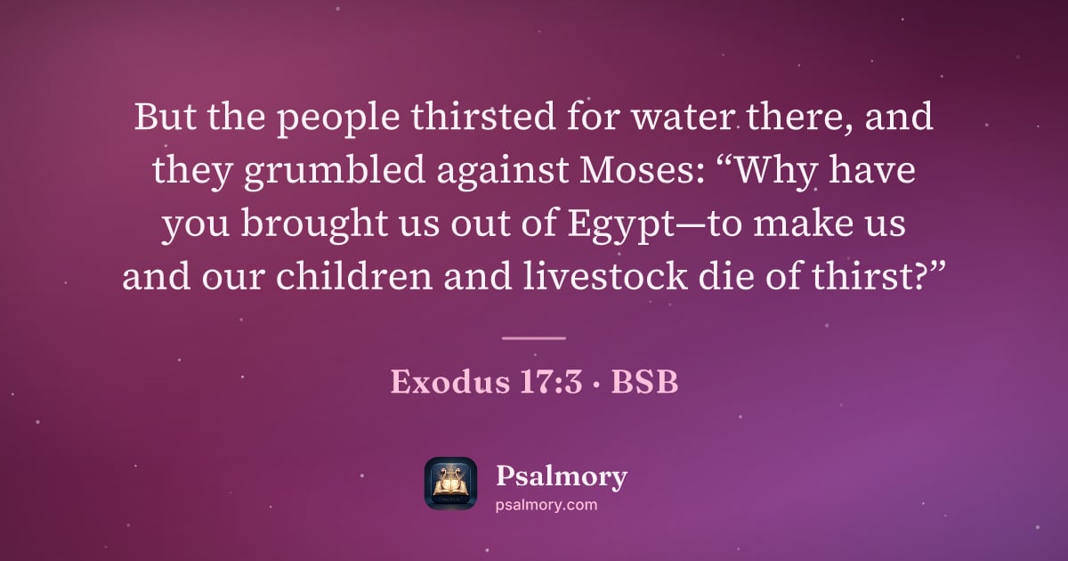 Exodus 17:3 verse artwork: But the people thirsted for water there, and they grumbled against Moses: “Why have you…