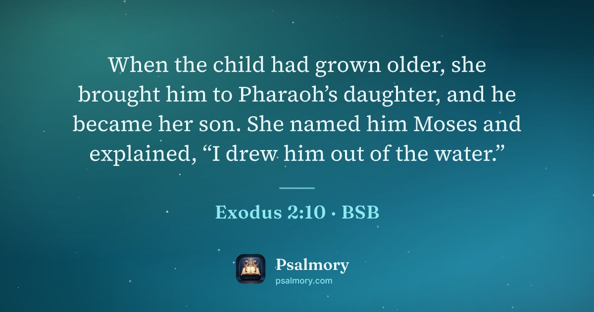 Exodus 2:10 verse artwork: When the child had grown older, she brought him to Pharaoh’s daughter, and he became her…