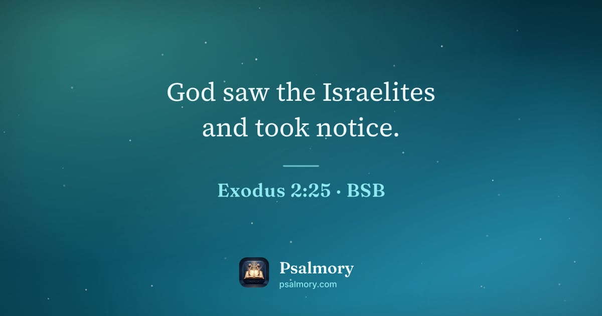 Exodus 2:25 verse artwork: God saw the Israelites and took notice.