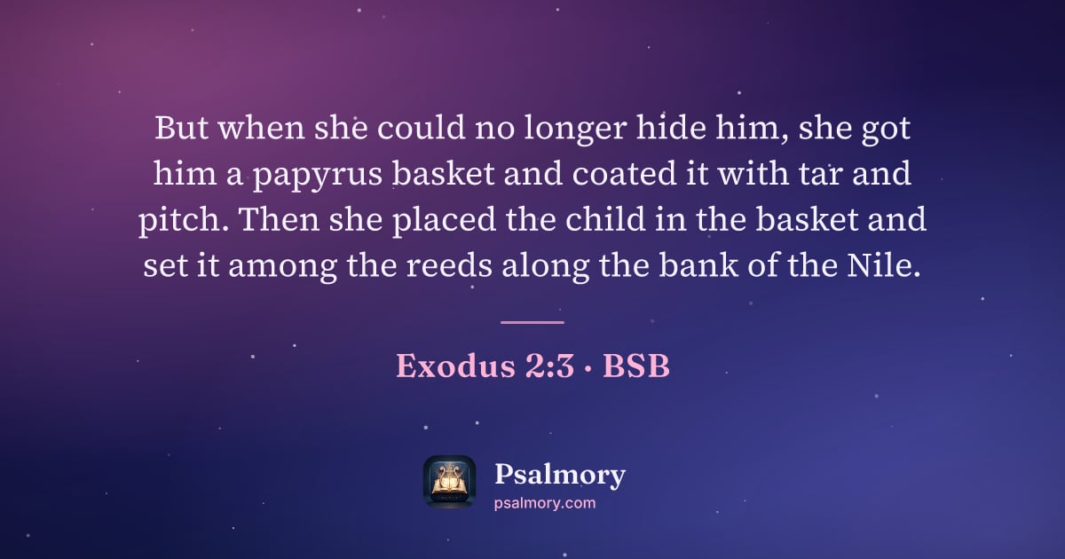 Exodus 2:3 verse artwork: But when she could no longer hide him, she got him a papyrus basket and coated it with…