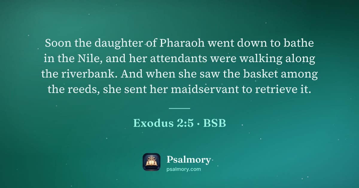 Exodus 2:5 verse artwork: Soon the daughter of Pharaoh went down to bathe in the Nile, and her attendants were…