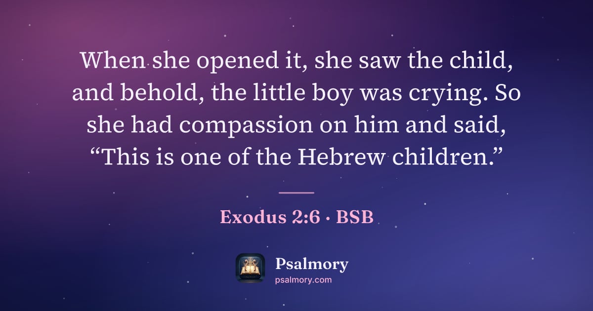 Exodus 2:6 verse artwork: When she opened it, she saw the child, and behold, the little boy was crying. So she had…