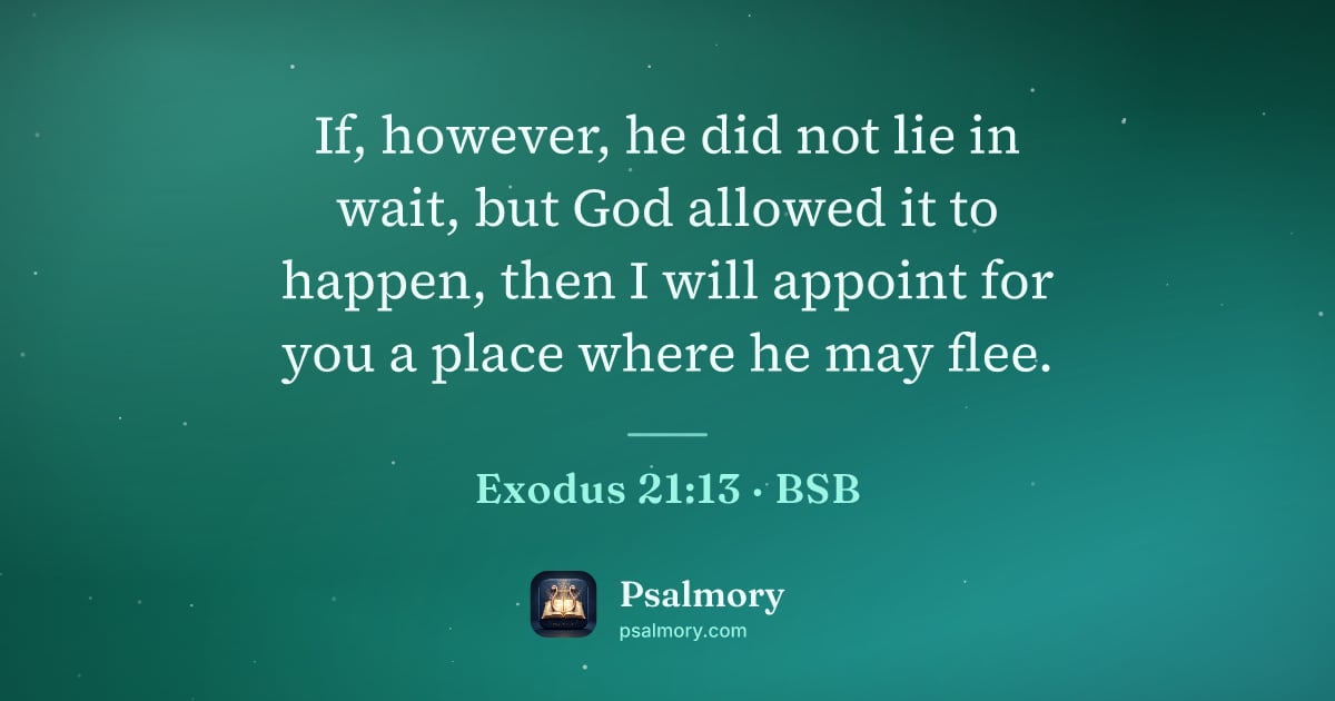 Exodus 21:13 verse artwork: If, however, he did not lie in wait, but God allowed it to happen, then I will appoint…
