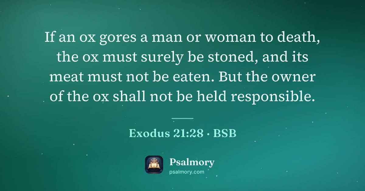 Exodus 21:28 verse artwork: If an ox gores a man or woman to death, the ox must surely be stoned, and its meat must…