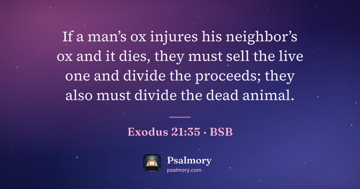 Exodus 21:35 verse artwork: If a man’s ox injures his neighbor’s ox and it dies, they must sell the live one and…