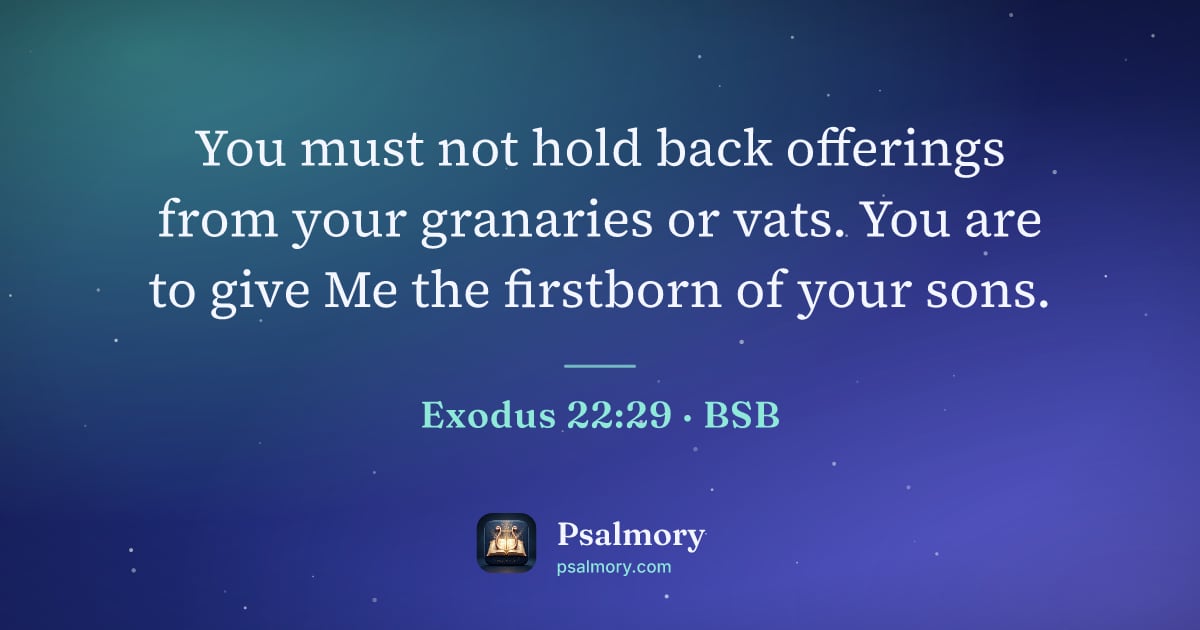 Exodus 22:29 verse artwork: You must not hold back offerings from your granaries or vats. You are to give Me the…