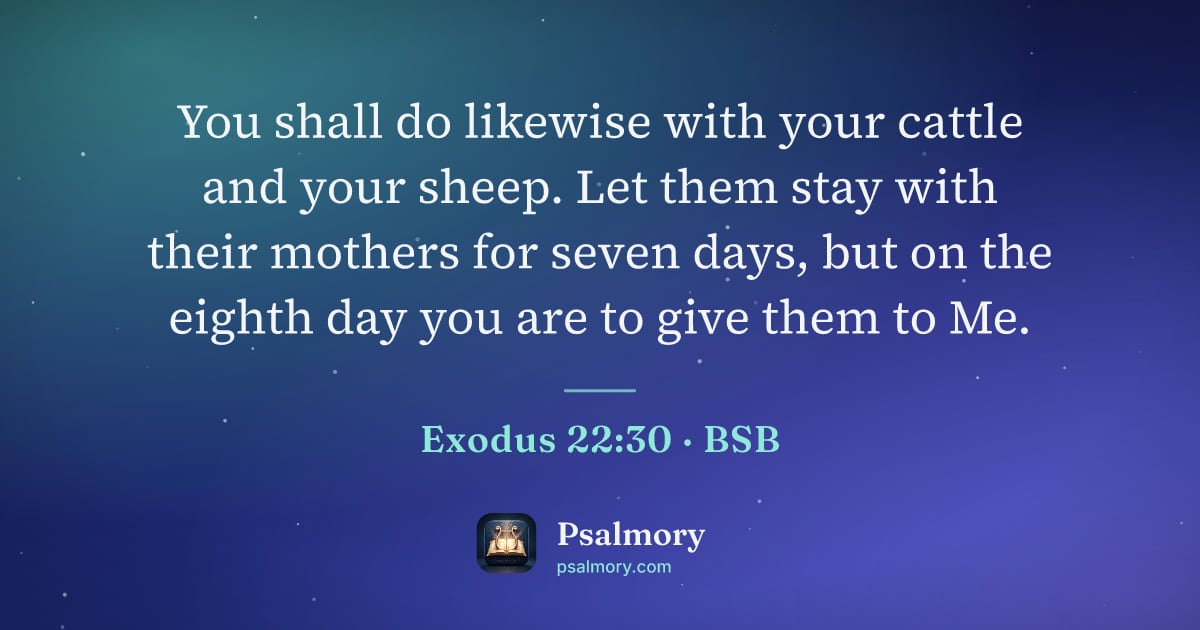 Exodus 22:30 verse artwork: You shall do likewise with your cattle and your sheep. Let them stay with their mothers…