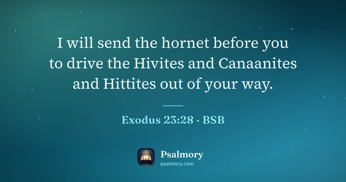 Exodus 23:28 verse artwork: I will send the hornet before you to drive the Hivites and Canaanites and Hittites out…