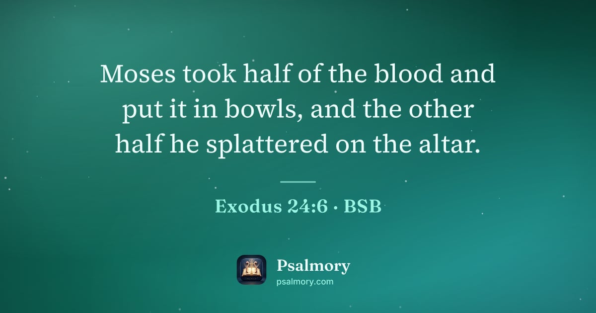 Exodus 24:6 verse artwork: Moses took half of the blood and put it in bowls, and the other half he splattered on…