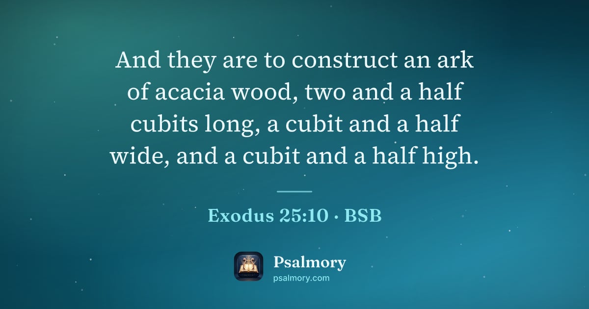 Exodus 25:10 verse artwork: And they are to construct an ark of acacia wood, two and a half cubits long, a cubit and…