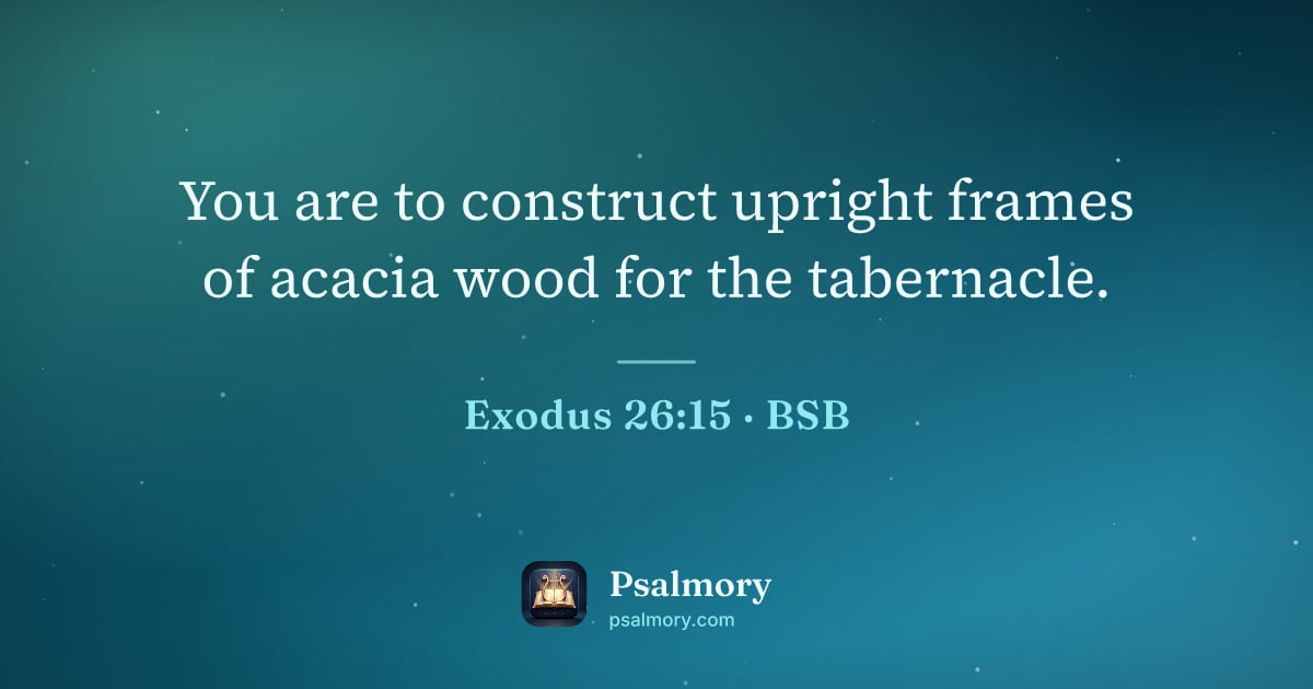 Exodus 26:15 verse artwork: You are to construct upright frames of acacia wood for the tabernacle.