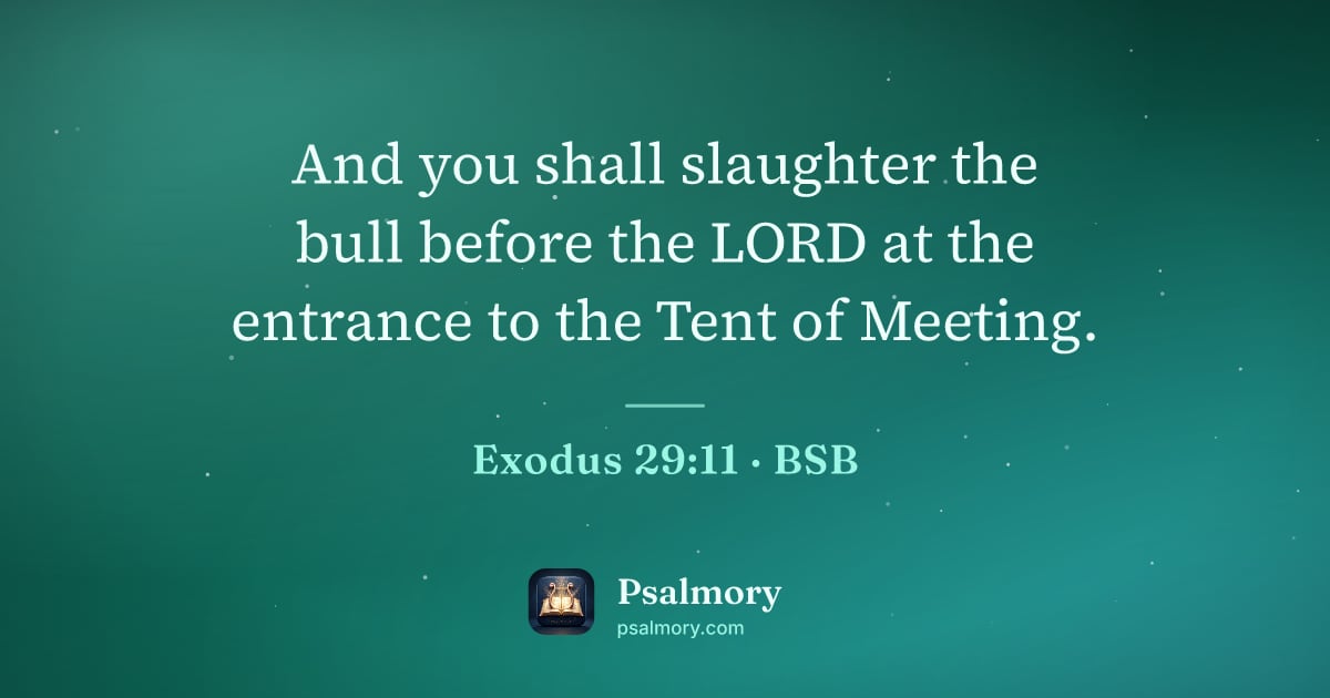 Exodus 29:11 verse artwork: And you shall slaughter the bull before the LORD at the entrance to the Tent of Meeting.