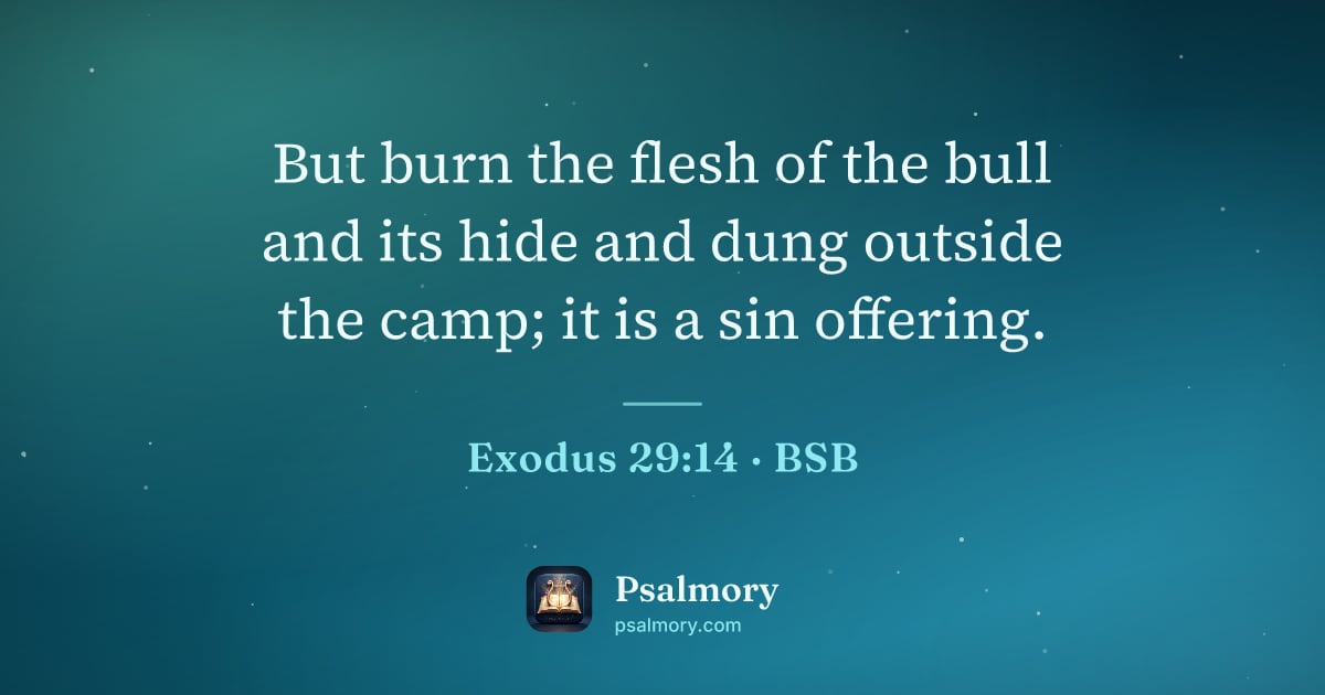 Exodus 29:14 verse artwork: But burn the flesh of the bull and its hide and dung outside the camp; it is a sin…