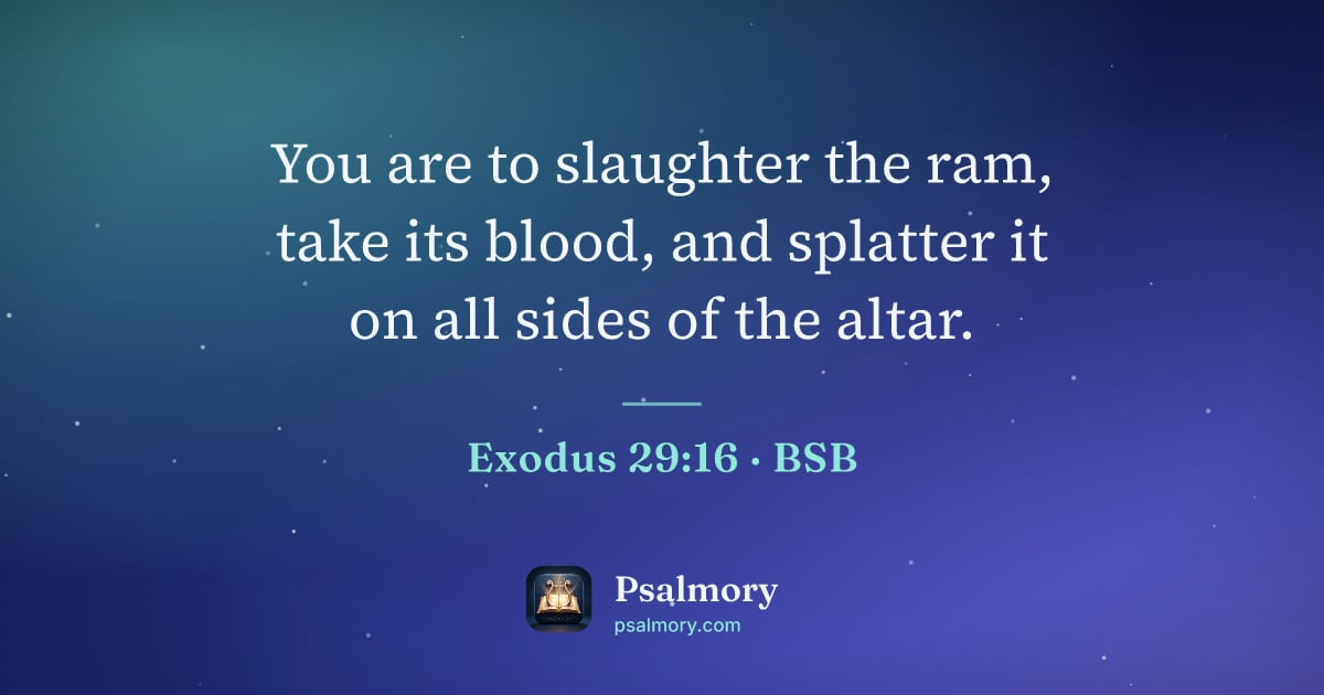 Exodus 29:16 verse artwork: You are to slaughter the ram, take its blood, and splatter it on all sides of the altar.