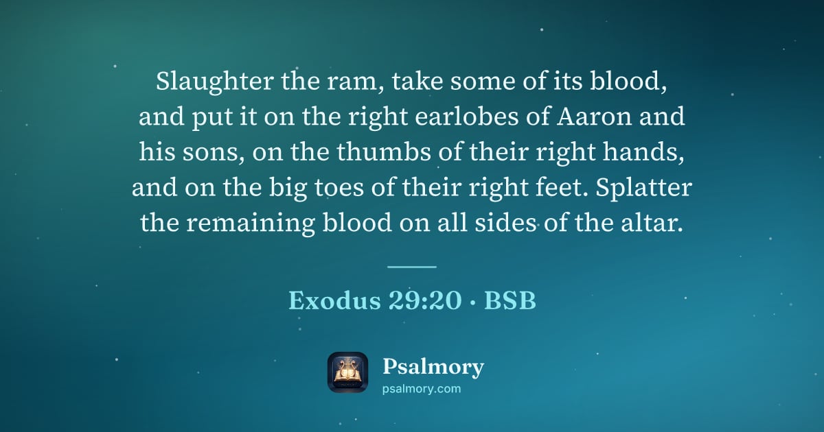Exodus 29:20 verse artwork: Slaughter the ram, take some of its blood, and put it on the right earlobes of Aaron and…