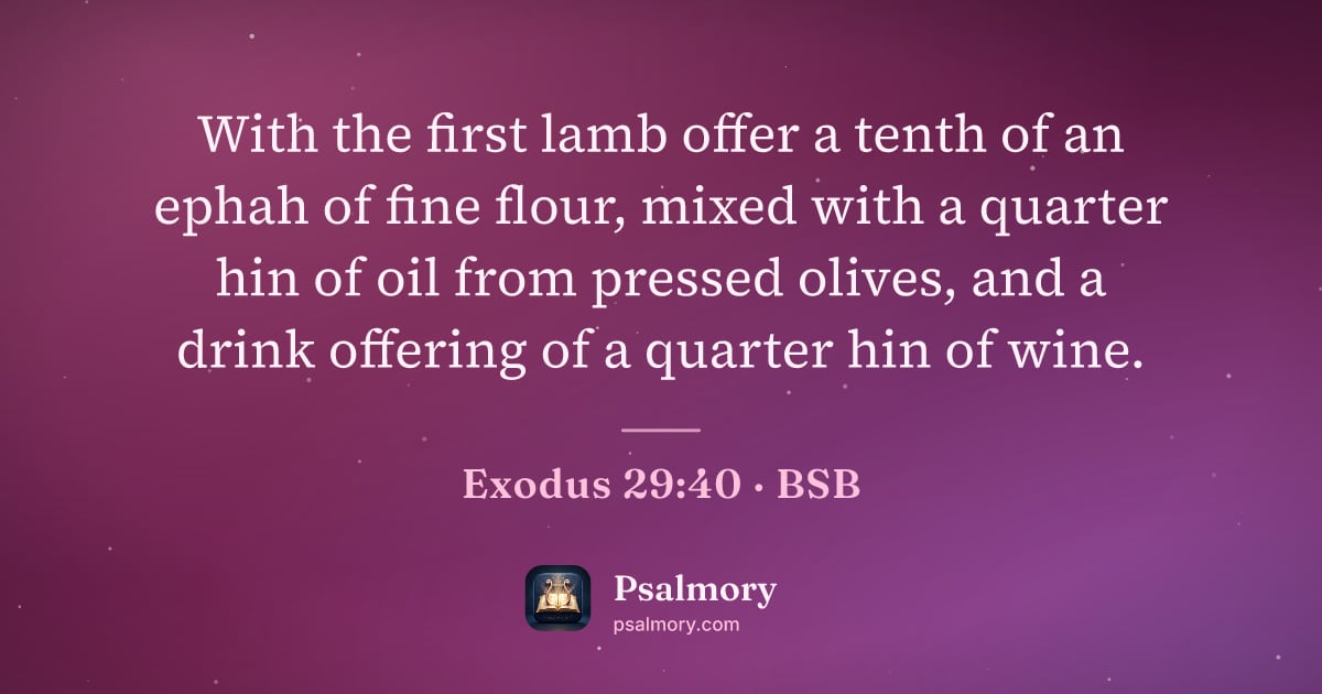 Exodus 29:40 verse artwork: With the first lamb offer a tenth of an ephah of fine flour, mixed with a quarter hin of…