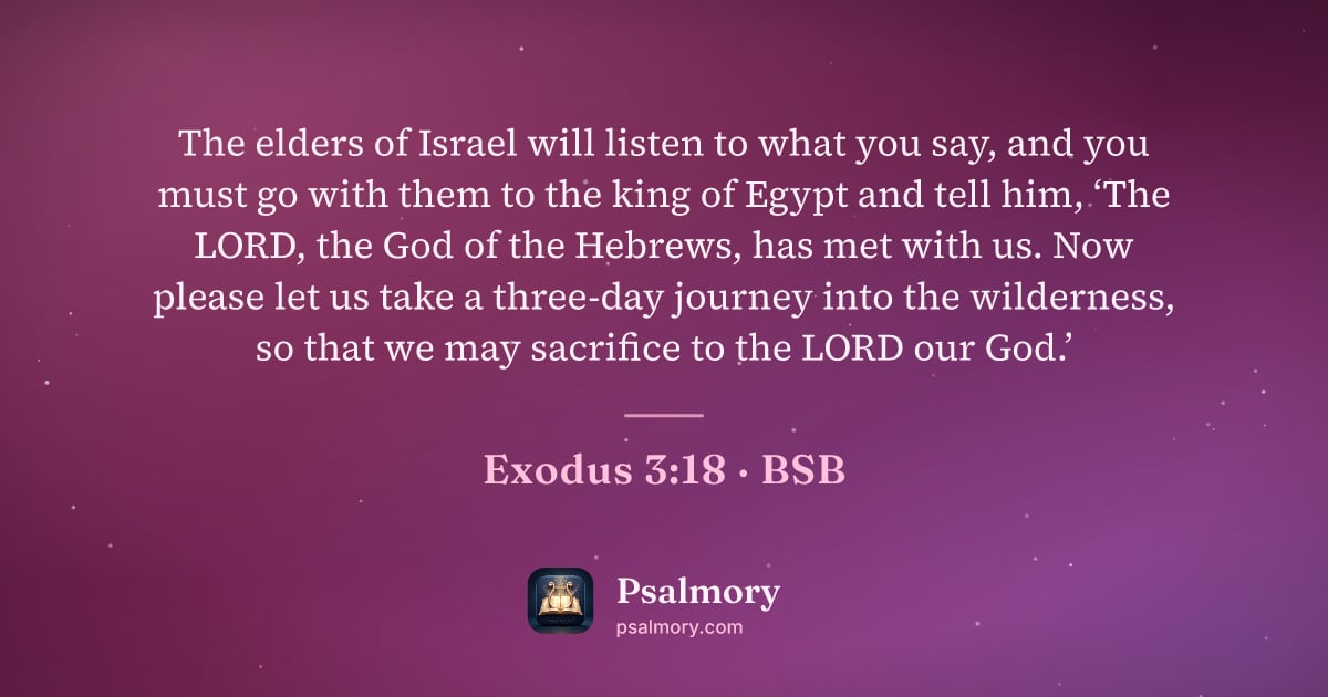 Exodus 3:18 verse artwork: The elders of Israel will listen to what you say, and you must go with them to the king…