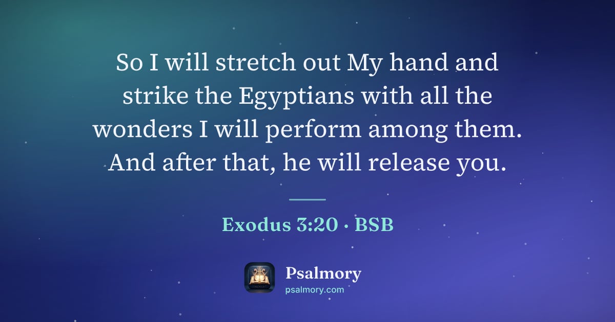 Exodus 3:20 verse artwork: So I will stretch out My hand and strike the Egyptians with all the wonders I will…