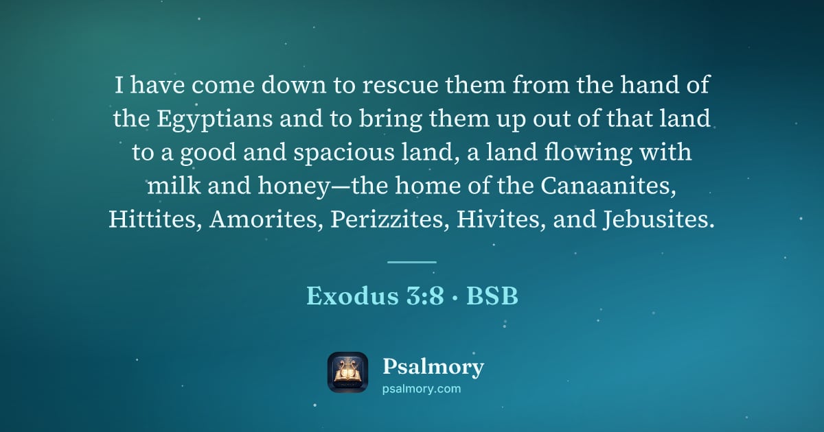 Exodus 3:8 verse artwork: I have come down to rescue them from the hand of the Egyptians and to bring them up out…