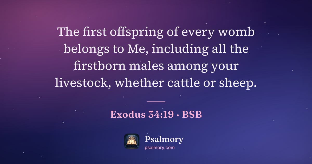 Exodus 34:19 verse artwork: The first offspring of every womb belongs to Me, including all the firstborn males among…