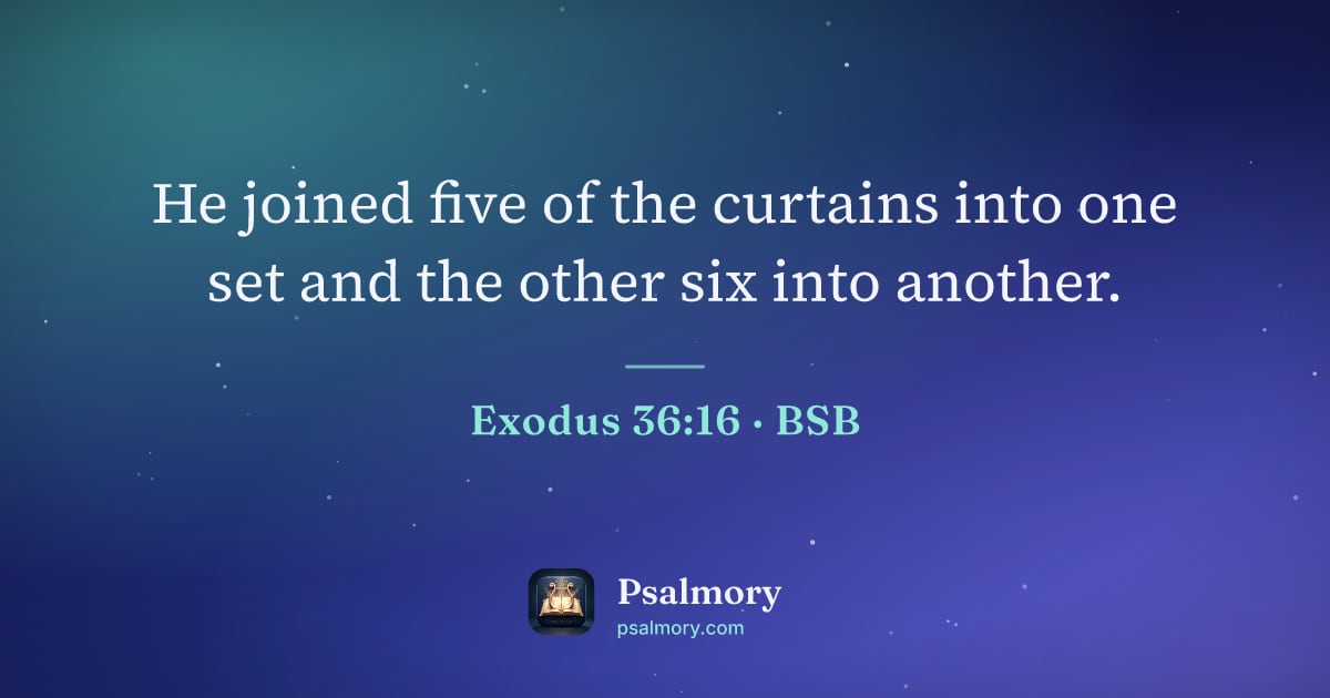 Exodus 36:16 verse artwork: He joined five of the curtains into one set and the other six into another.