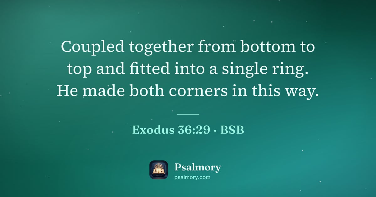 Exodus 36:29 verse artwork: Coupled together from bottom to top and fitted into a single ring. He made both corners…