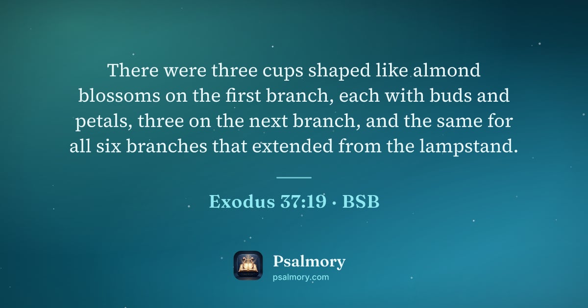 Exodus 37:19 verse artwork: There were three cups shaped like almond blossoms on the first branch, each with buds…
