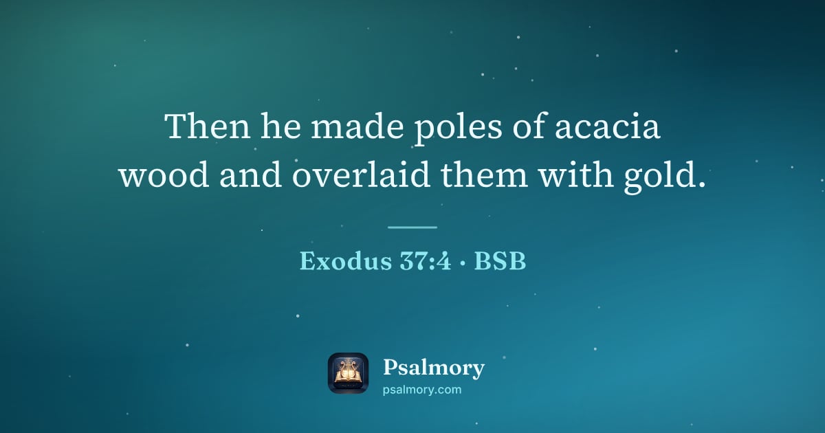 Exodus 37:4 verse artwork: Then he made poles of acacia wood and overlaid them with gold.