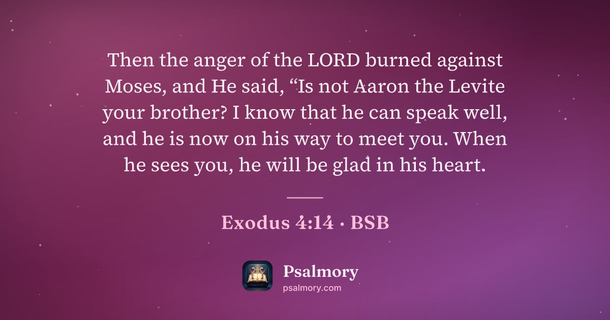 Exodus 4:14 verse artwork: Then the anger of the LORD burned against Moses, and He said, “Is not Aaron the Levite…